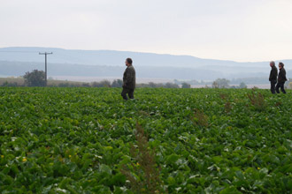 richter im feld