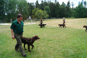 Schlussrunde der Rüden