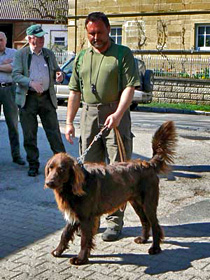 Suchensiege Buchheim 2009