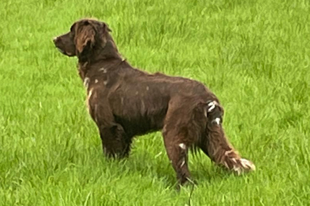 Zwinger vom Medbacher Berg