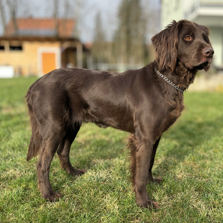 luna von der schmiede