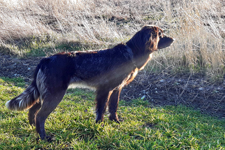 Andorra von Bieleborn